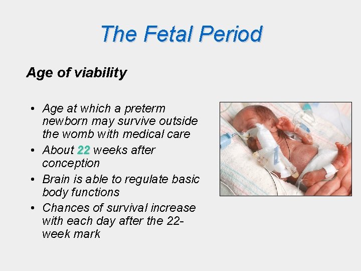 The Fetal Period Age of viability • Age at which a preterm newborn may