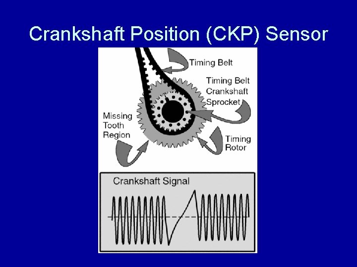 Crankshaft Position (CKP) Sensor 