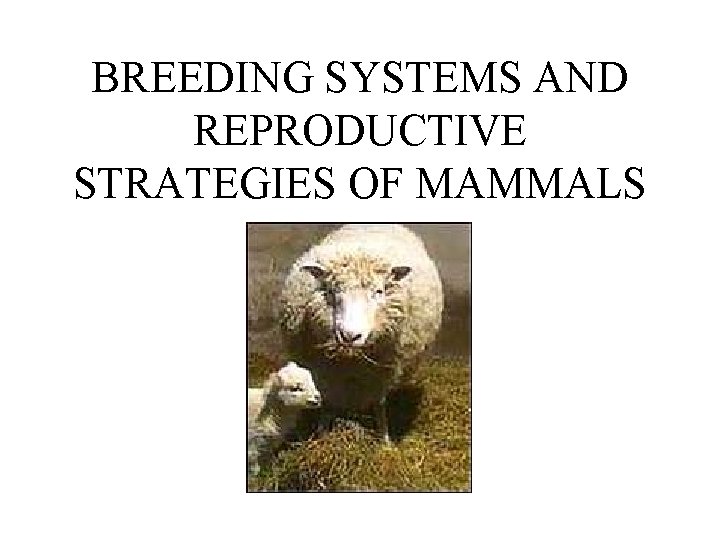 BREEDING SYSTEMS AND REPRODUCTIVE STRATEGIES OF MAMMALS 