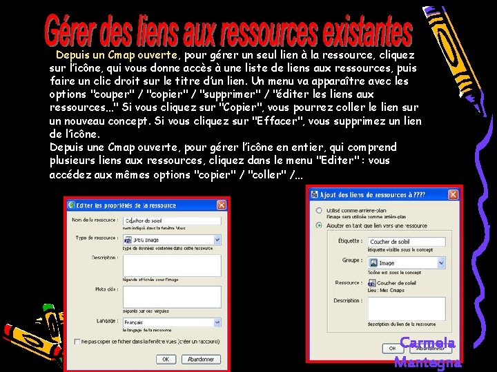 . Depuis un Cmap ouverte, pour gérer un seul lien à la ressource, cliquez