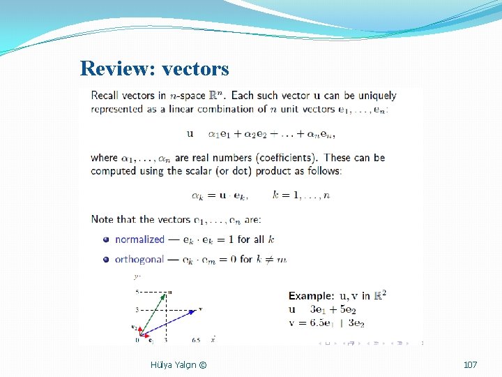 Review: vectors Hülya Yalçın © 107 