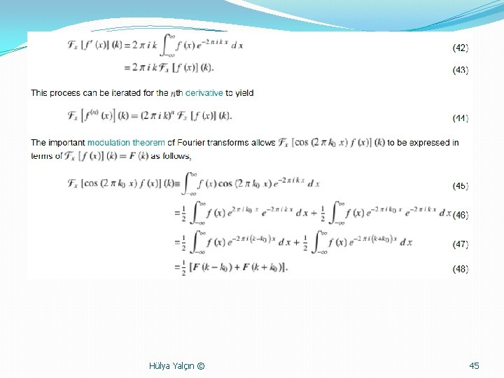 Hülya Yalçın © 45 