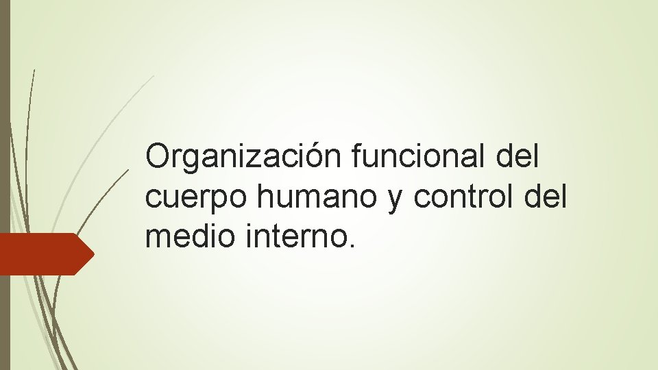 Organización funcional del cuerpo humano y control del medio interno. 