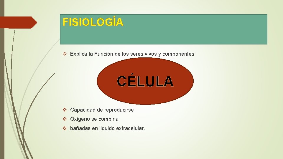FISIOLOGÍA Explica la Función de los seres vivos y componentes CÉLULA v Capacidad de