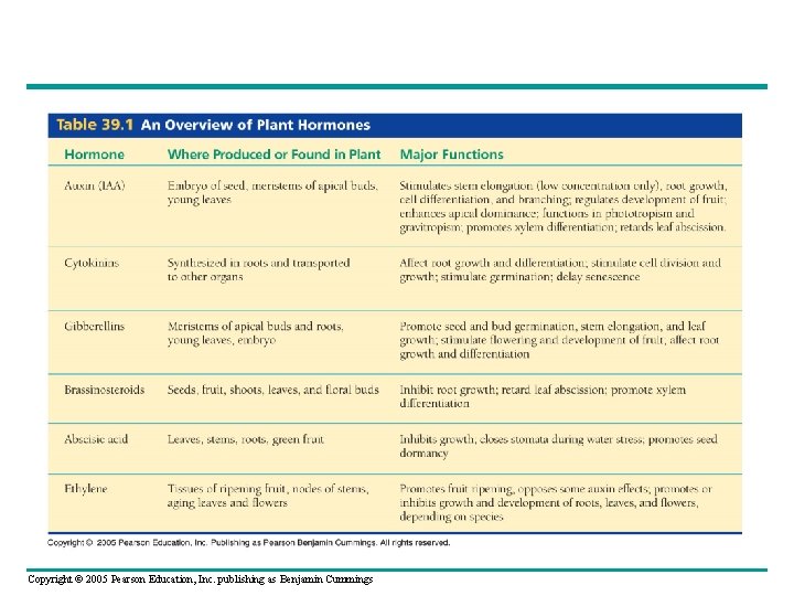 Copyright © 2005 Pearson Education, Inc. publishing as Benjamin Cummings 