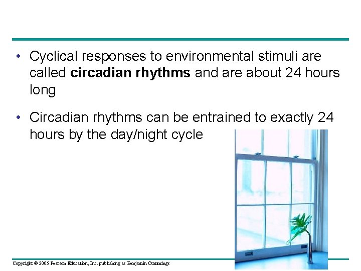  • Cyclical responses to environmental stimuli are called circadian rhythms and are about