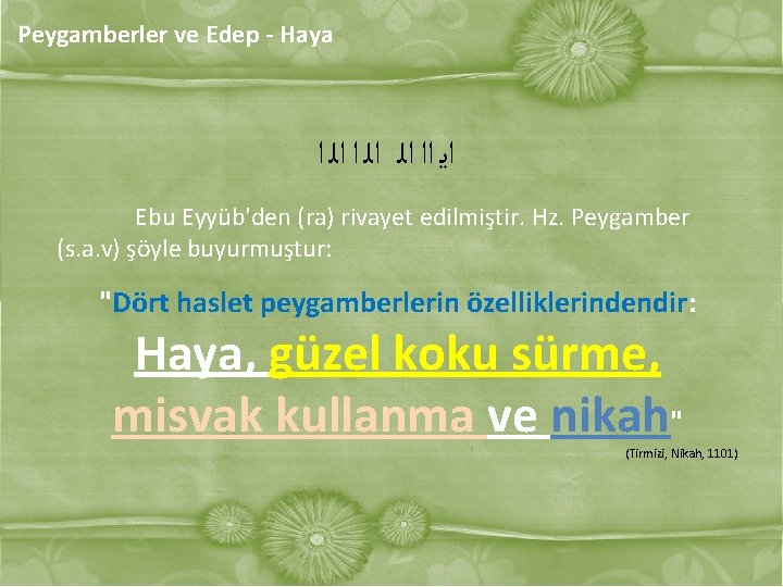 Peygamberler ve Edep - Haya ﺍﻳ ﺍﺍ ﺍﻟ ﺍﻟ ﺍ Ebu Eyyüb'den (ra) rivayet