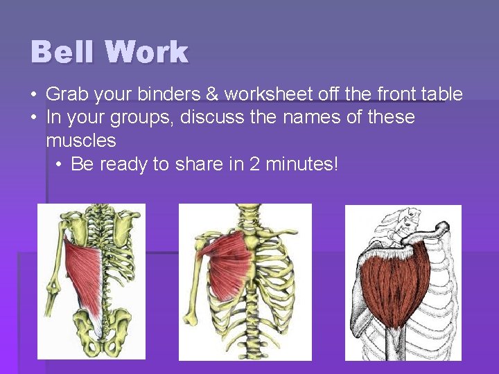 Bell Work • Grab your binders & worksheet off the front table • In Bell Work • Grab your binders & worksheet off the front table • In