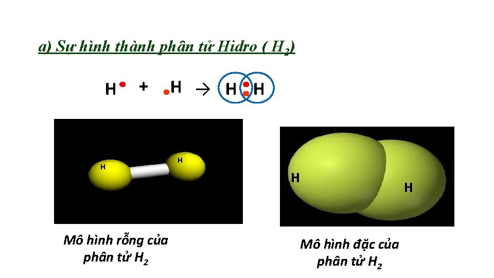 a) Sự hình thành phân tử Hidro ( H 2) H + H Mô