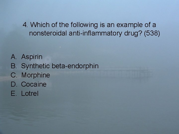 4. Which of the following is an example of a nonsteroidal anti-inflammatory drug? (538)