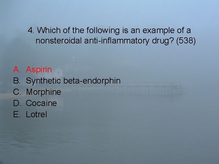 4. Which of the following is an example of a nonsteroidal anti-inflammatory drug? (538)