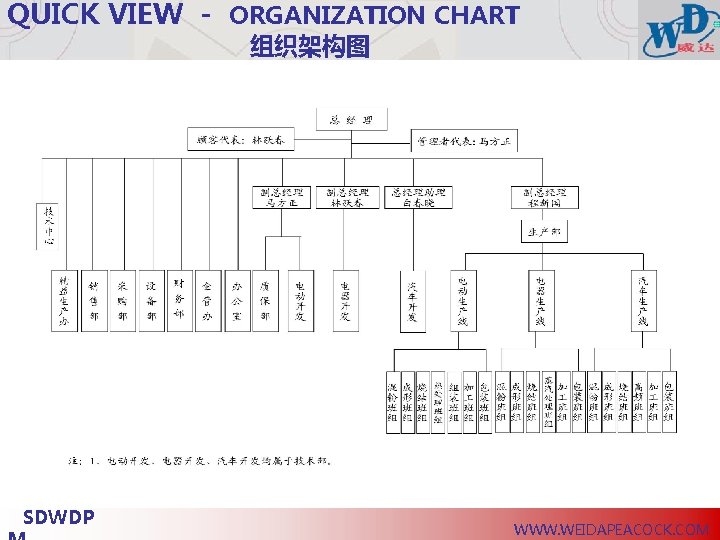 QUICK VIEW - ORGANIZATION CHART 组织架构图 SDWDP WWW. WEIDAPEACOCK. COM 