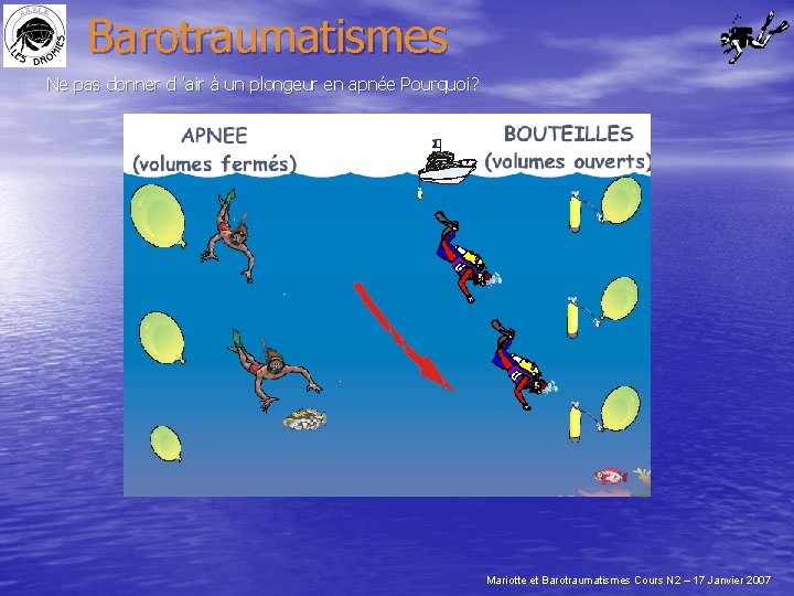 Barotraumatismes Ne pas donner d ’air à un plongeur en apnée Pourquoi? Mariotte et