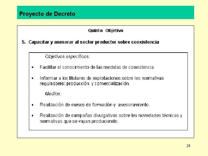 Proyecto de Decreto 24 