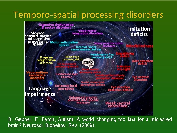 Temporo-spatial processing disorders B. Gepner, F. Feron, Autism: A world changing too fast for