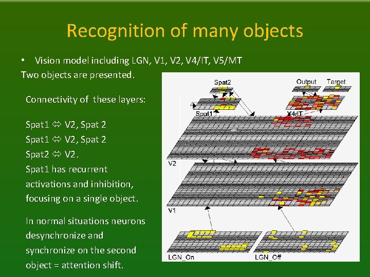 Recognition of many objects • Vision model including LGN, V 1, V 2, V