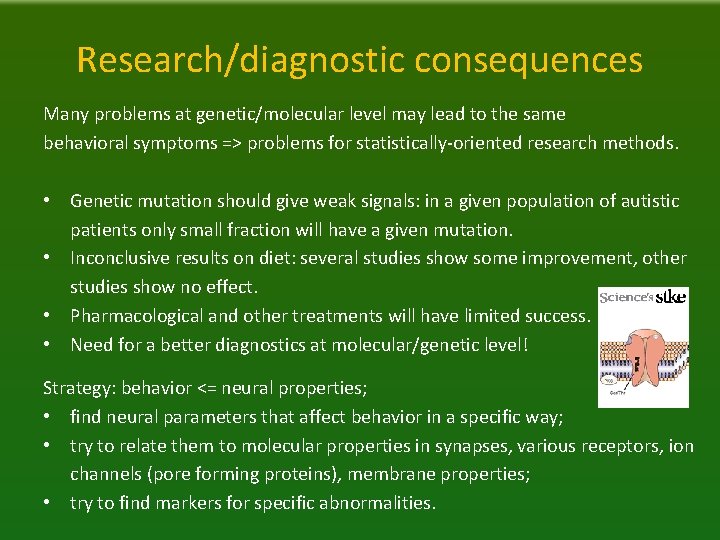 Research/diagnostic consequences Many problems at genetic/molecular level may lead to the same behavioral symptoms