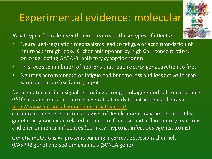 Experimental evidence: molecular What type of problems with neurons create these types of effects?