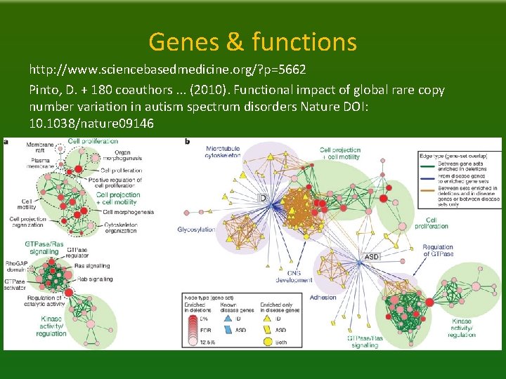 Genes & functions http: //www. sciencebasedmedicine. org/? p=5662 Pinto, D. + 180 coauthors. .