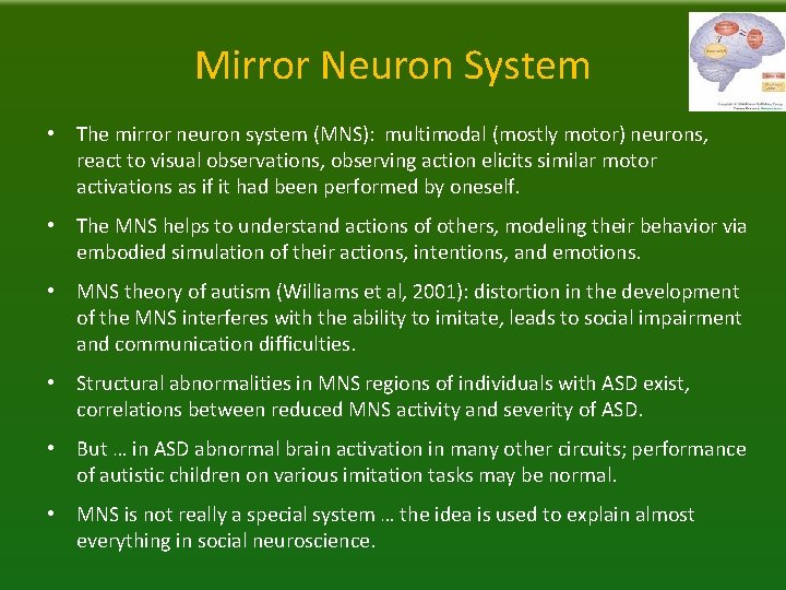 Mirror Neuron System • The mirror neuron system (MNS): multimodal (mostly motor) neurons, react