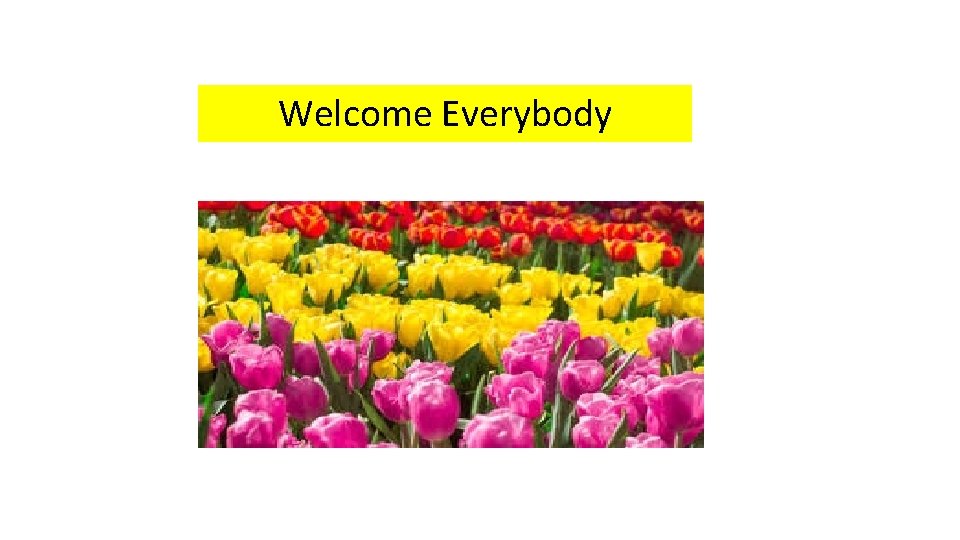 Welcome Everybody 