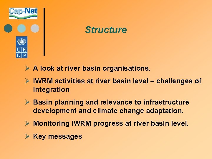 Structure Ø A look at river basin organisations. Ø IWRM activities at river basin