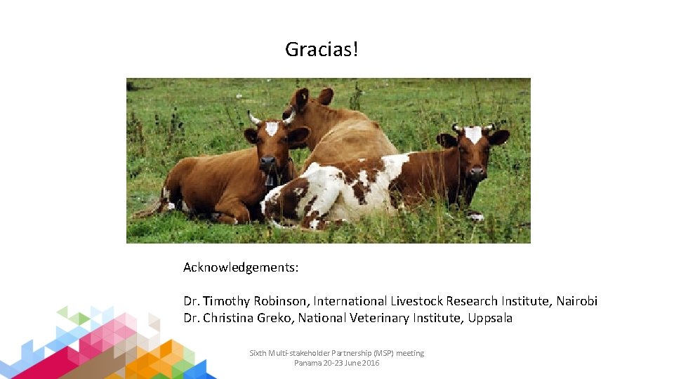 Gracias! Acknowledgements: Dr. Timothy Robinson, International Livestock Research Institute, Nairobi Dr. Christina Greko, National