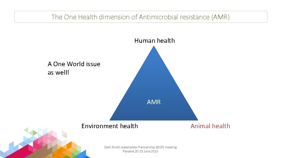 The One Health dimension of Antimicrobial resistance (AMR) Human health A One World issue