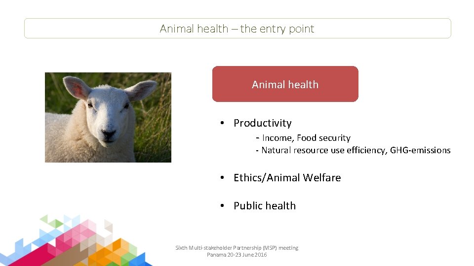 Animal health – the entry point Animal health • Productivity - Income, Food security