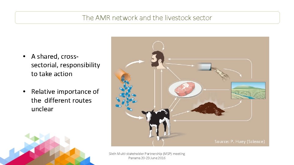 The AMR network and the livestock sector • A shared, crosssectorial, responsibility to take