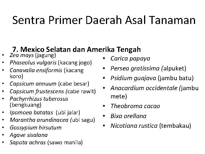 Sentra Primer Daerah Asal Tanaman 7. Mexico Selatan dan Amerika Tengah • Zea mays