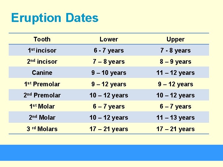 Eruption Dates Tooth Lower Upper 1 st incisor 6 - 7 years 7 -