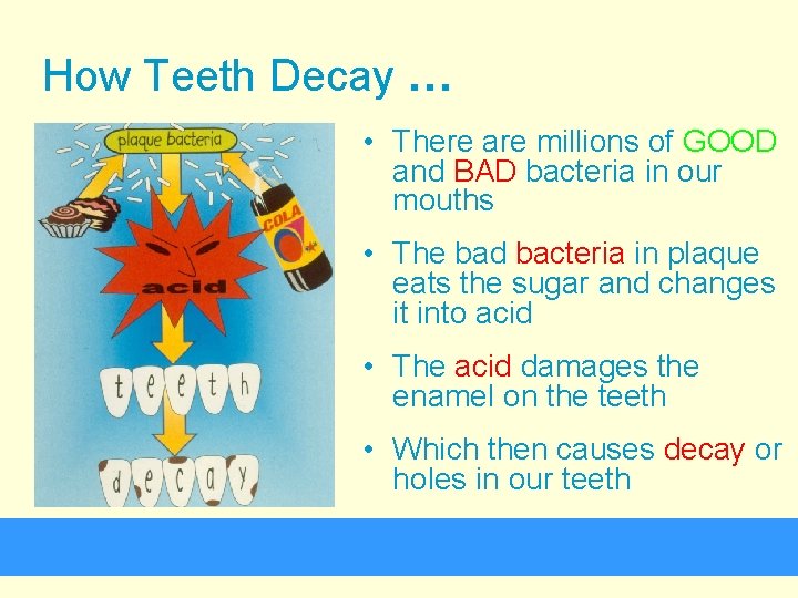 How Teeth Decay … • There are millions of GOOD and BAD bacteria in