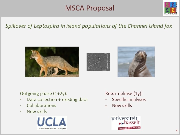 Proposal Click to MSCA edit Master title style Spillover of Leptospira in island populations