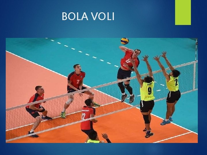 BOLA VOLI 