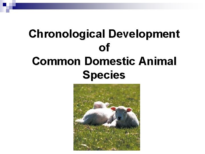 Chronological Development of Common Domestic Animal Species 