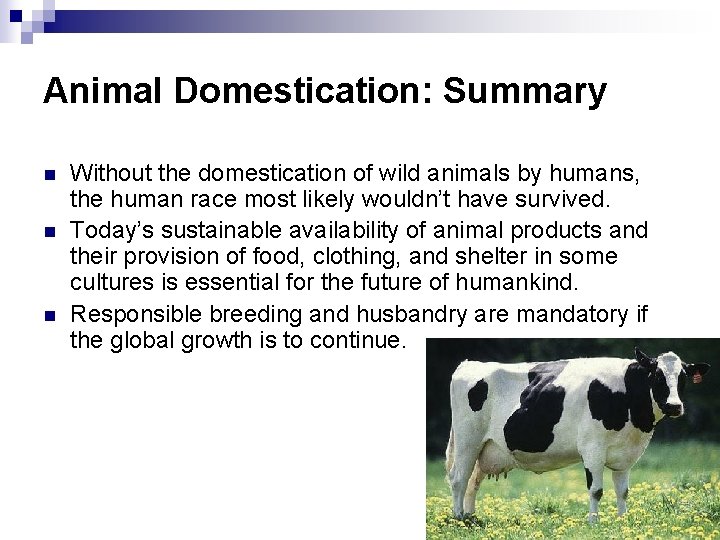 Animal Domestication: Summary n n n Without the domestication of wild animals by humans,