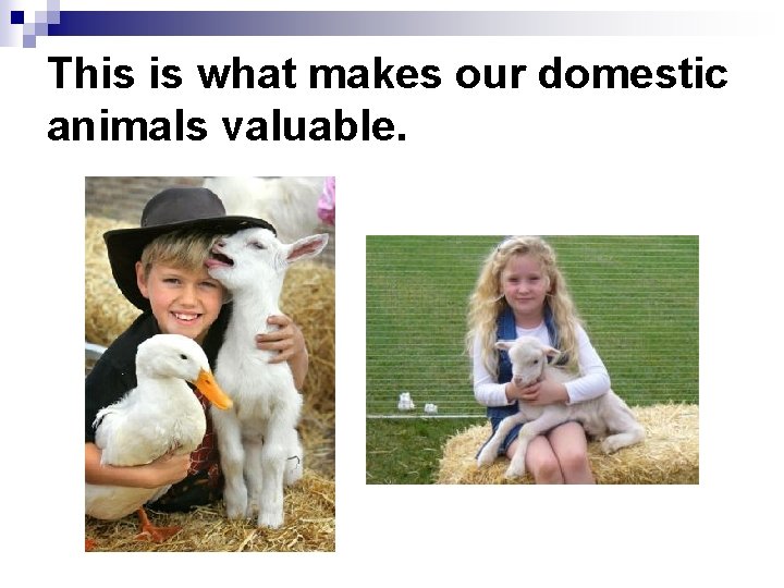 This is what makes our domestic animals valuable. 