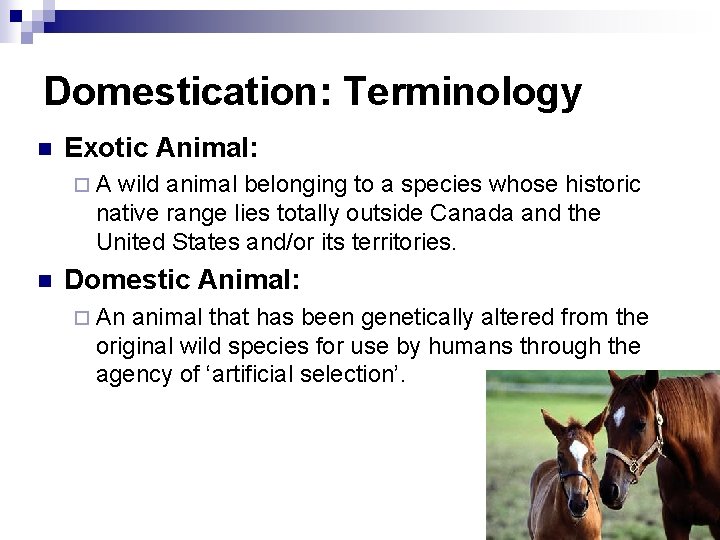 Domestication: Terminology n Exotic Animal: ¨A wild animal belonging to a species whose historic