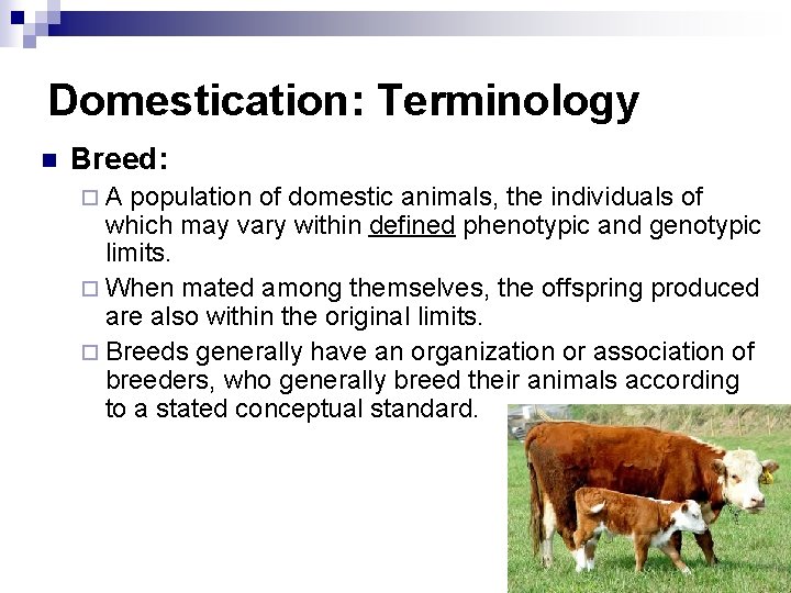 Domestication: Terminology n Breed: ¨A population of domestic animals, the individuals of which may