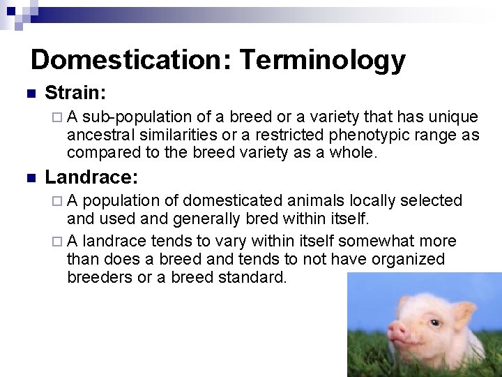 Domestication: Terminology n Strain: ¨A sub-population of a breed or a variety that has