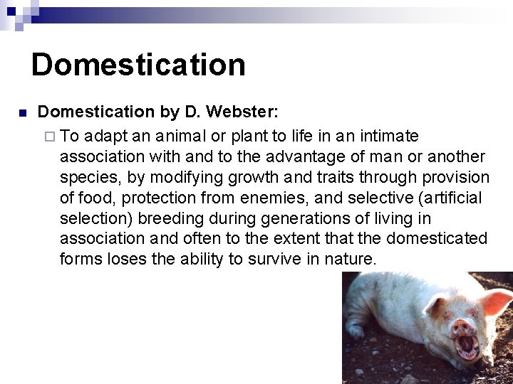 Domestication n Domestication by D. Webster: ¨ To adapt an animal or plant to