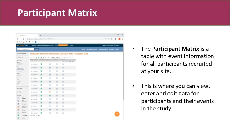 Participant Matrix • The Participant Matrix is a table with event information for all