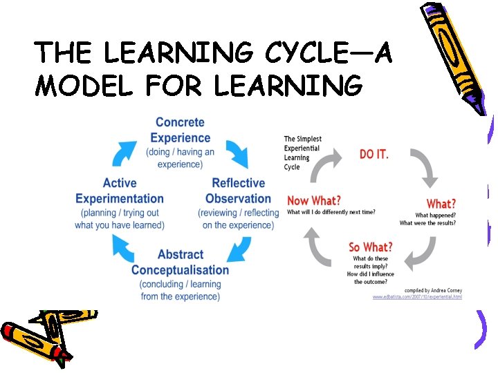 THE LEARNING CYCLE—A MODEL FOR LEARNING 