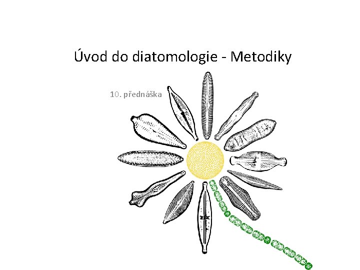 Úvod do diatomologie - Metodiky 10. přednáška 