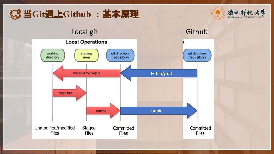 当Git遇上Github ：基本原理 Local git Github Fetch/pull push 