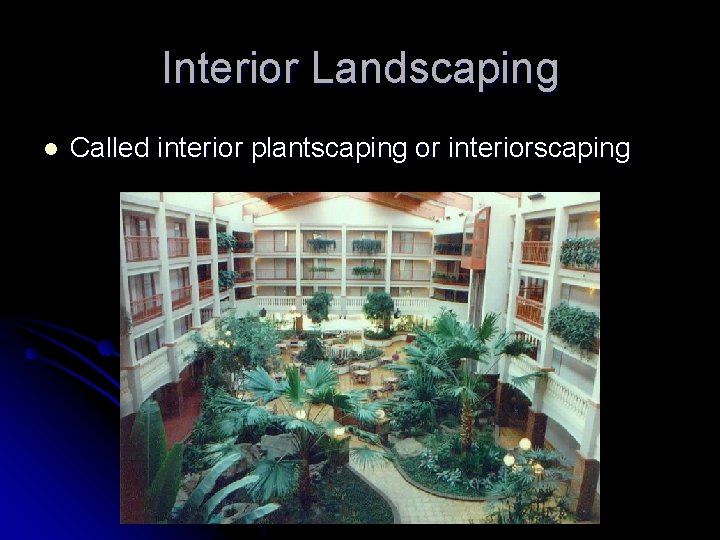 Interior Landscaping l Called interior plantscaping or interiorscaping Interior Landscaping l Called interior plantscaping or interiorscaping