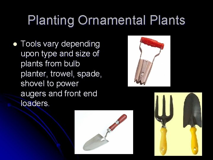 Planting Ornamental Plants l Tools vary depending upon type and size of plants from Planting Ornamental Plants l Tools vary depending upon type and size of plants from