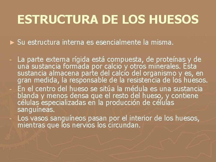 ESTRUCTURA DE LOS HUESOS ► Su estructura interna es esencialmente la misma. La parte