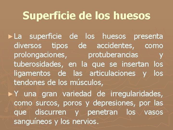 Superficie de los huesos ► La superficie de los huesos presenta diversos tipos de